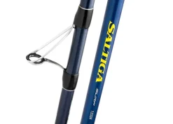 Daiwa 21 Saltiga Surf