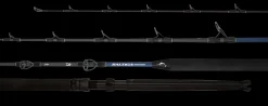 Daiwa 21 Saltiga Tournament
