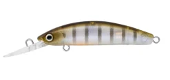 Daiwa Double Clutch 48SP