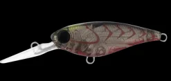 Daiwa Infeet Kodachi 40SF