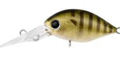 Daiwa Infeet Rolling Crank DR