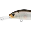 Daiwa Infeet Spike 44EXDR