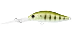 Daiwa Infeet Spike 44EXDR