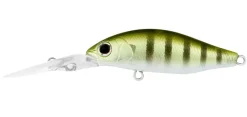 Daiwa Infeet Spike 44MR