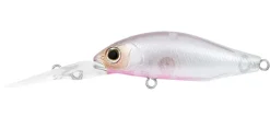 Daiwa Infeet Spike 44MR