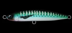 Daiwa Saltiga Rough Ride 160F
