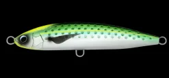 Daiwa Saltiga Rough Ride 160F