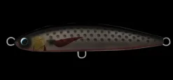 Daiwa Saltiga Rough Ride 140F