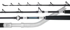 Daiwa Saltist Dendoh Rod