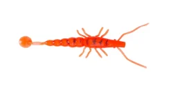 Madeye Paddle Prawn