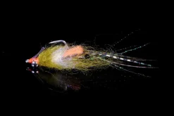 Manic Spawning Shrimp 4