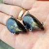 Outback Breamer Mussel Clicker Heavy 5.8g