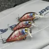Pro Lure Crank D36