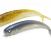 Raid Fish Roller 4