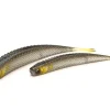Raid Super Fish Roller 5