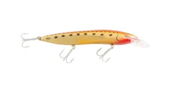RMG Scorpion 125dd