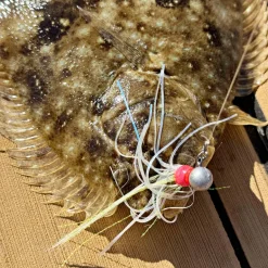 Vexed Buckabou Jig Wig 5-pack